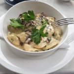 Kurinye Pelmeni